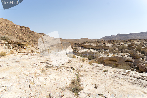 Image of Israeli desert travel