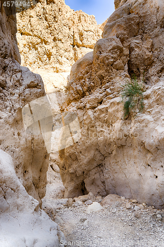 Image of Israeli desert travel