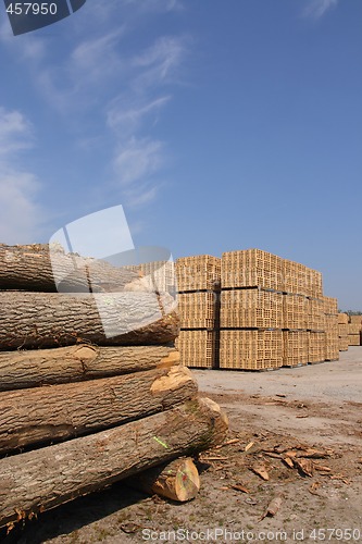 Image of Wooden packing crates production