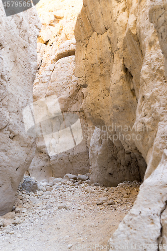 Image of Israeli desert travel