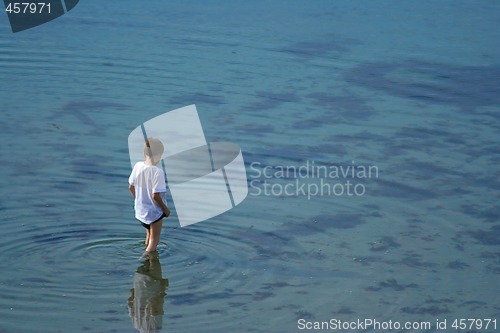 Image of In a clear water