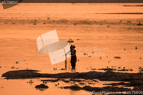 Image of Asian Woman fishing in the river, silhouette at sunset