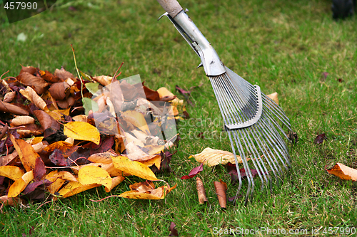 Image of Raking the leaves