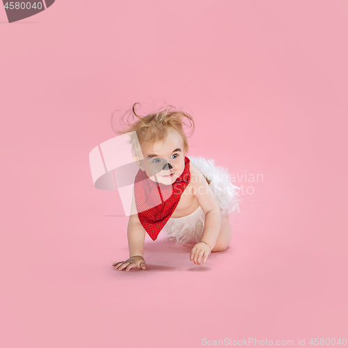 Image of Newborn baby girl wearing a Halloween costume