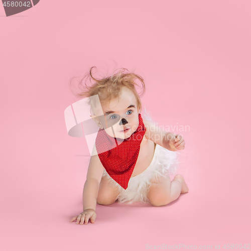 Image of Newborn baby girl wearing a Halloween costume