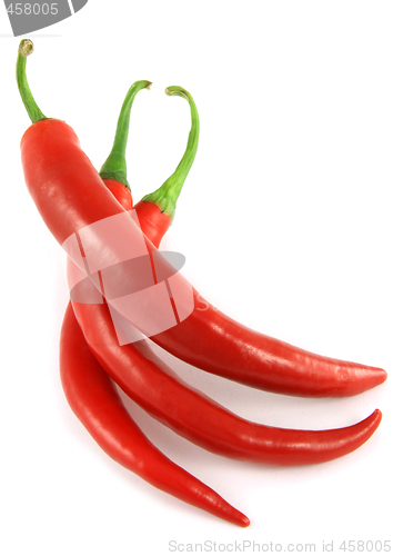 Image of Red chili peppers