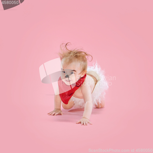 Image of Newborn baby girl wearing a Halloween costume