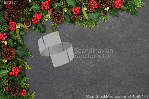 Image of Natural Winter Background Border