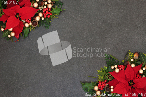 Image of Christmas Poinsettia Flower Border