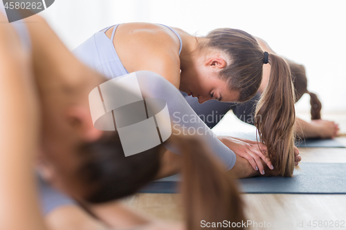 Image of Group of young sporty attractive women in yoga studio, practicing yoga lesson with instructor, sitting on floor in forward bend yoga sana posture. Healthy active lifestyle, working out indoors in gym