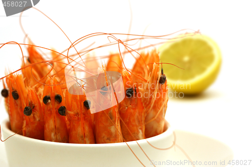 Image of shrimps in a bowl