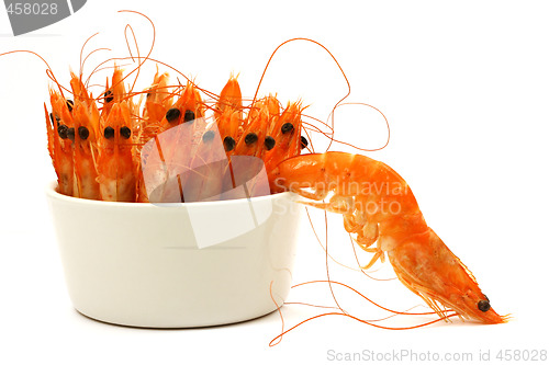 Image of shrimp escape