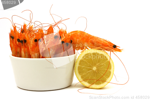 Image of shrimp escape