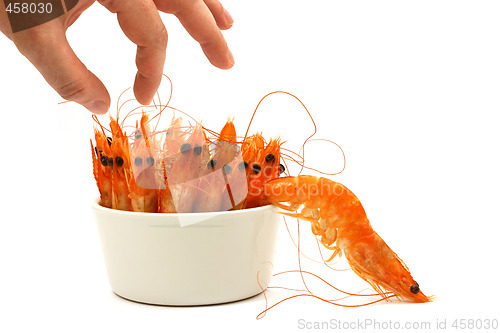 Image of shrimp escape