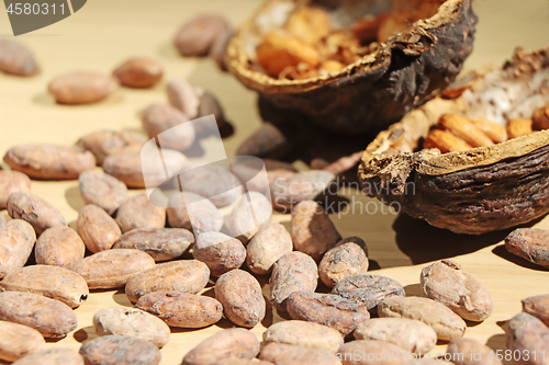 Image of Cocoa beans and cocoa pod on a wooden table