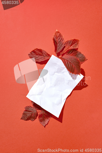 Image of Crumpled paper sheet with autumn leaves with hard shadows.