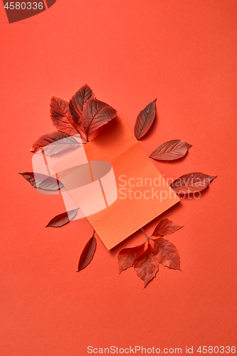 Image of Congratulation handmade set from colorful autumn leaves and paper card.