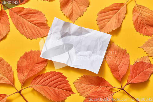 Image of Crumpled paper sheet with autumn leaves with hard shadows.