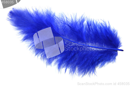 Image of Blue feather