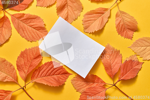 Image of Invitation card from paper sheet on autumn leaves background.