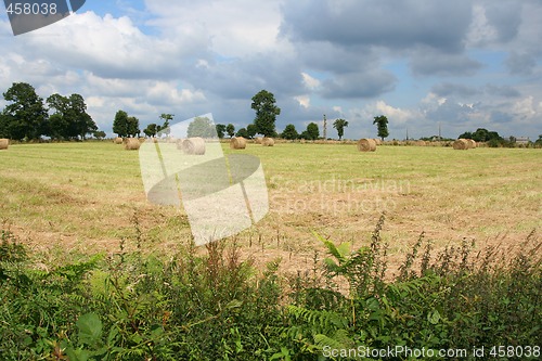 Image of Round bales