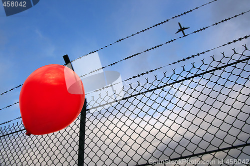 Image of Barbed freedom (Liberté barbelée)