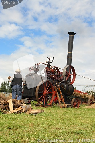 Image of Vintage harvest