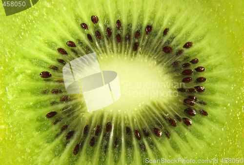 Image of Kiwi fruit