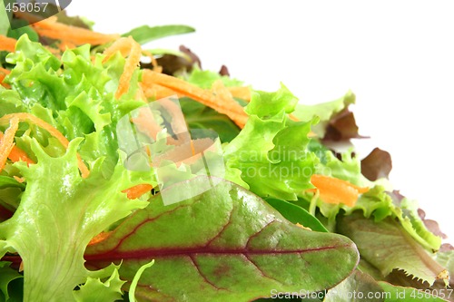 Image of Fresh mixed lettuces, with carrots