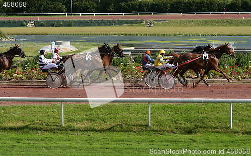Image of Horse race