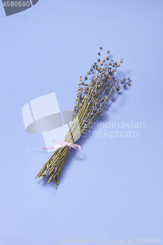 Image of Lavender bunch dry flowers with soft shadows.