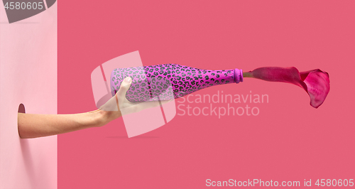 Image of Woman\'s hand holds painted wine bottle with flower through the wall.