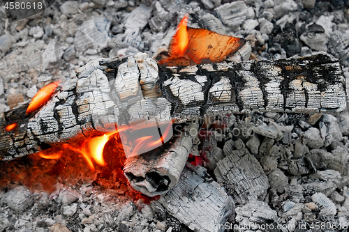 Image of Burning Firewood and ash