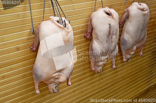 Image of Three stuffed geese before grill