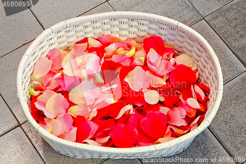 Image of Petals in basket