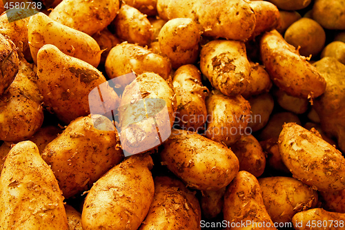Image of Dirt potato