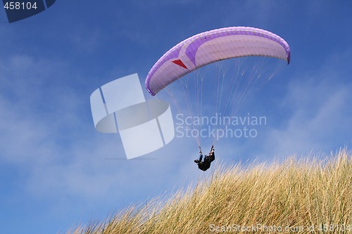 Image of Purple paraglider