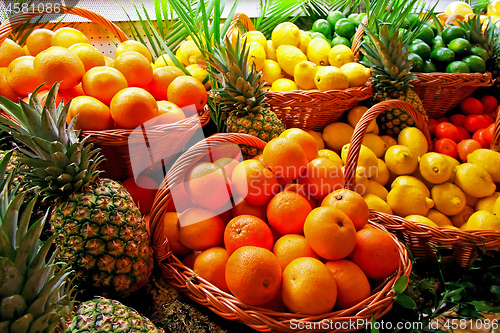 Image of Citrus basket