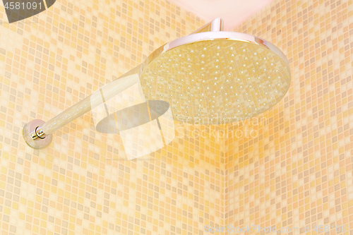 Image of Shower head