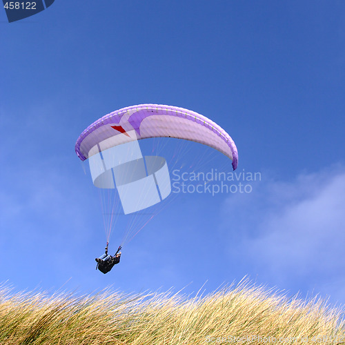 Image of Purple paraglider