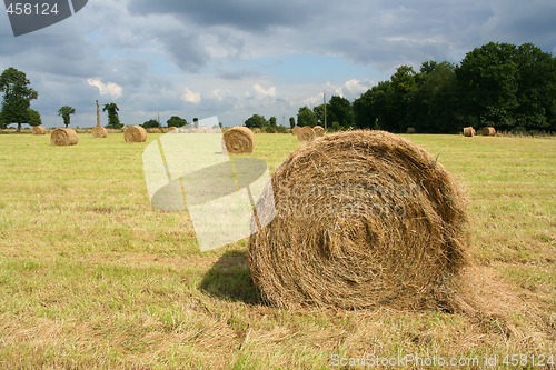 Image of Round bale