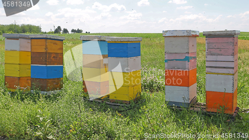 Image of Beehive