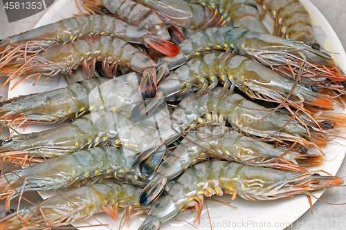 Image of Tiger Prawns