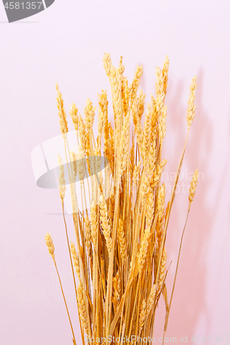 Image of Wheat decor