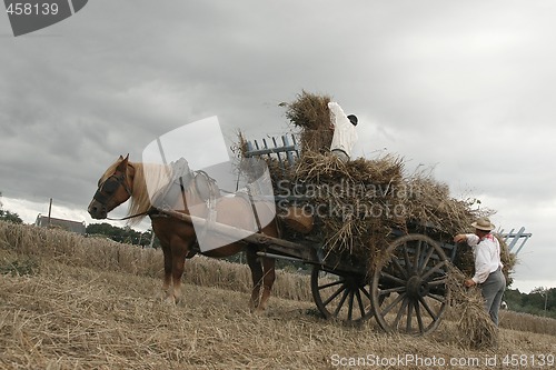 Image of Vintage manual harvest scene