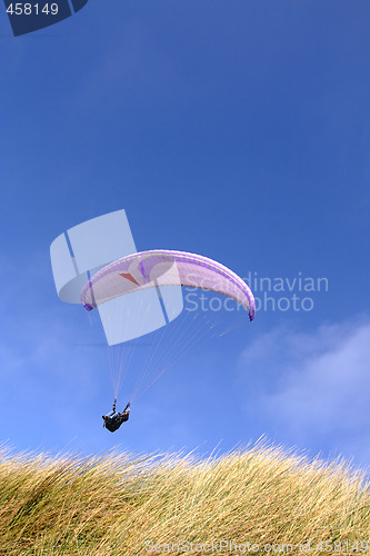 Image of Purple paraglider