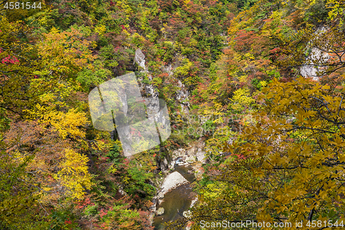 Image of Naruko Gorge in Japan