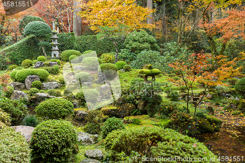 Image of Autumn Japanese park