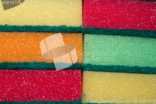 Image of colorful sponge