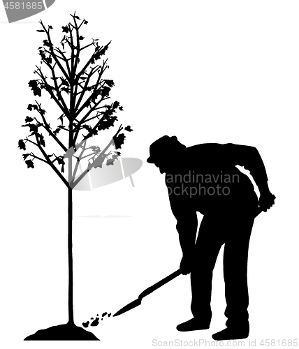 Image of Man planting a tree